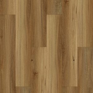 NSW Spotted Gum
