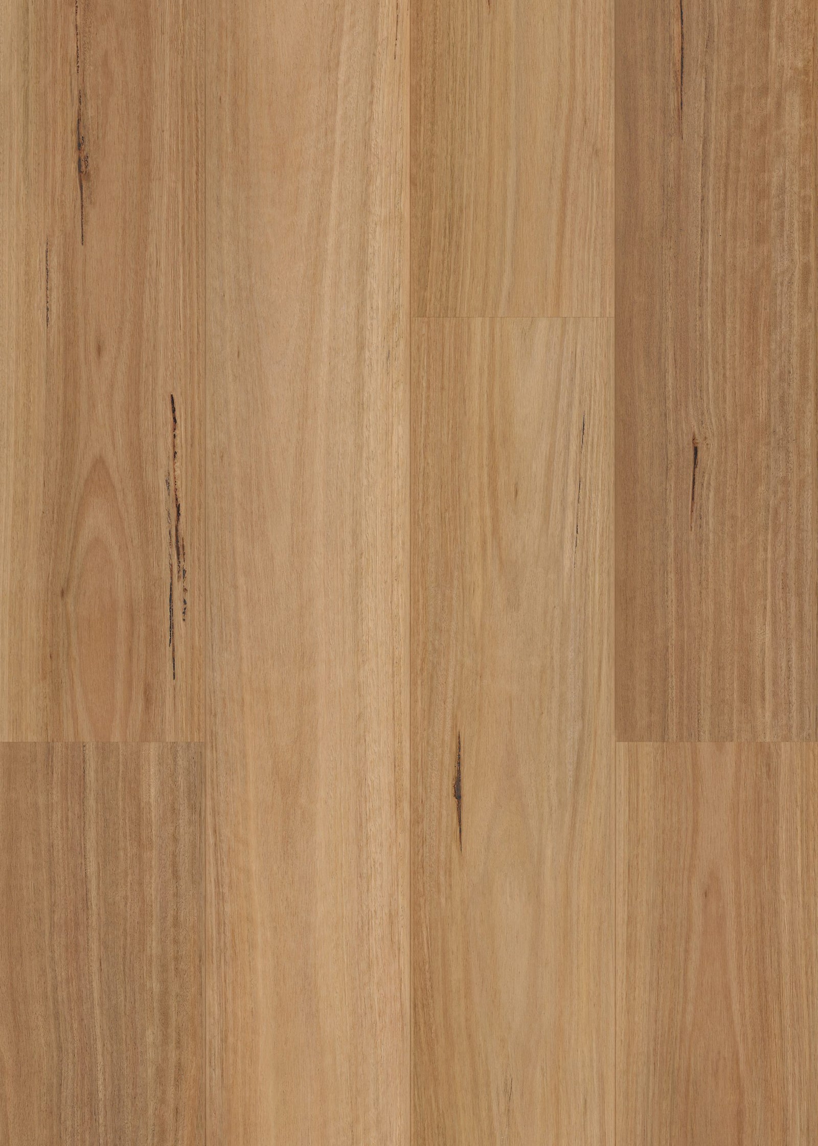 Native Blackbutt