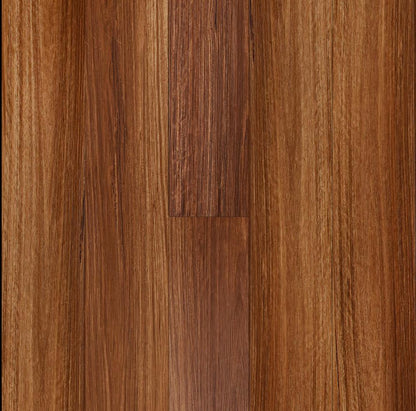 Warm Spotted Gum