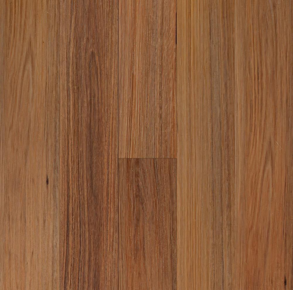 Native Blackbutt