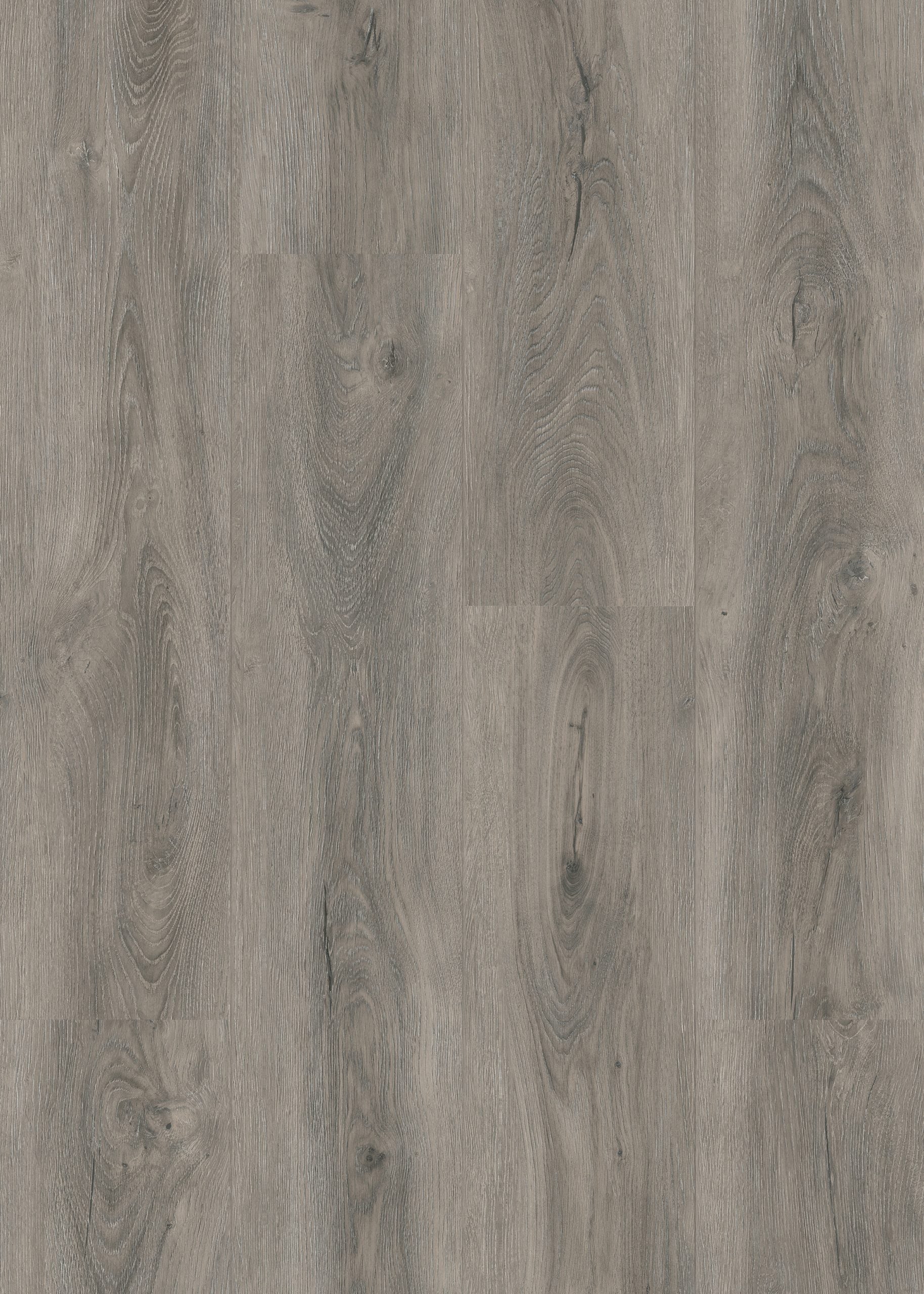 Dove Grey