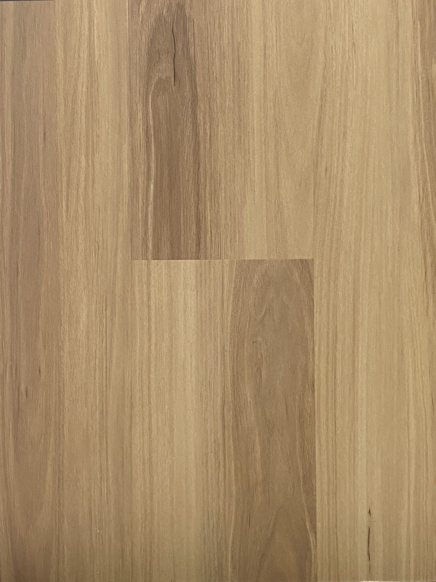 Blackbutt