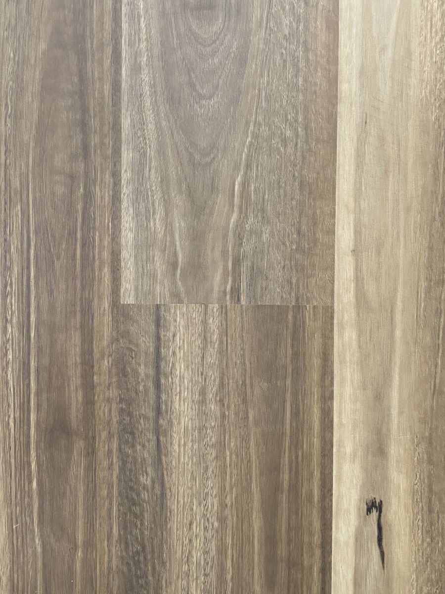 Spotted Gum