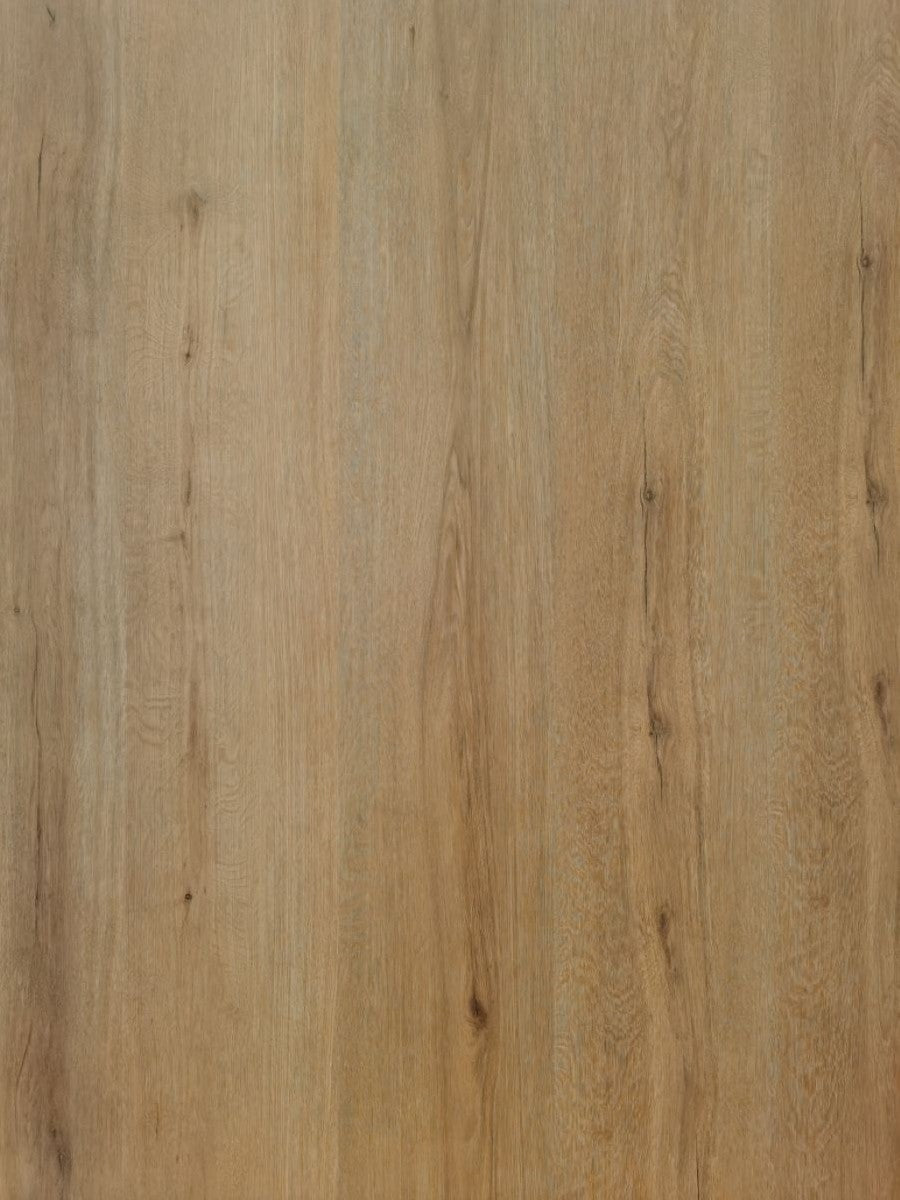Fertile Oak
