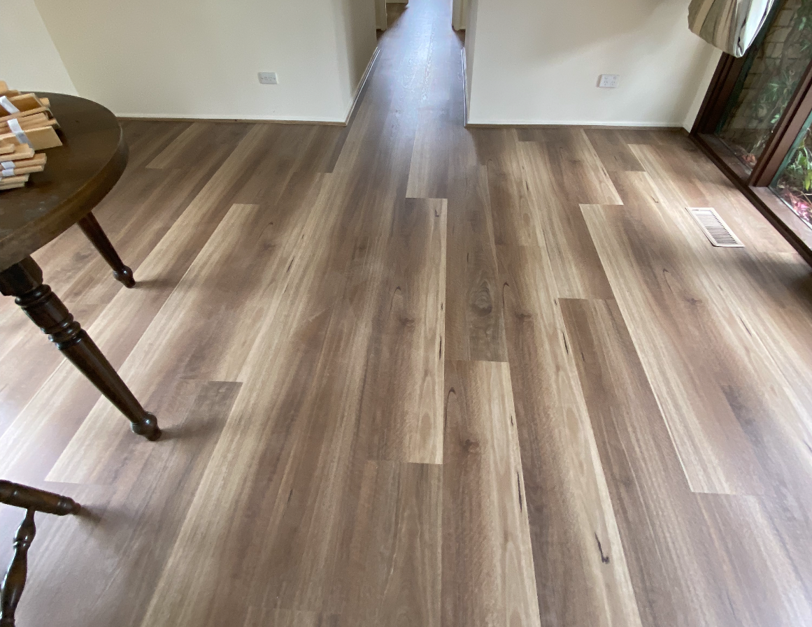 NSW Spotted Gum