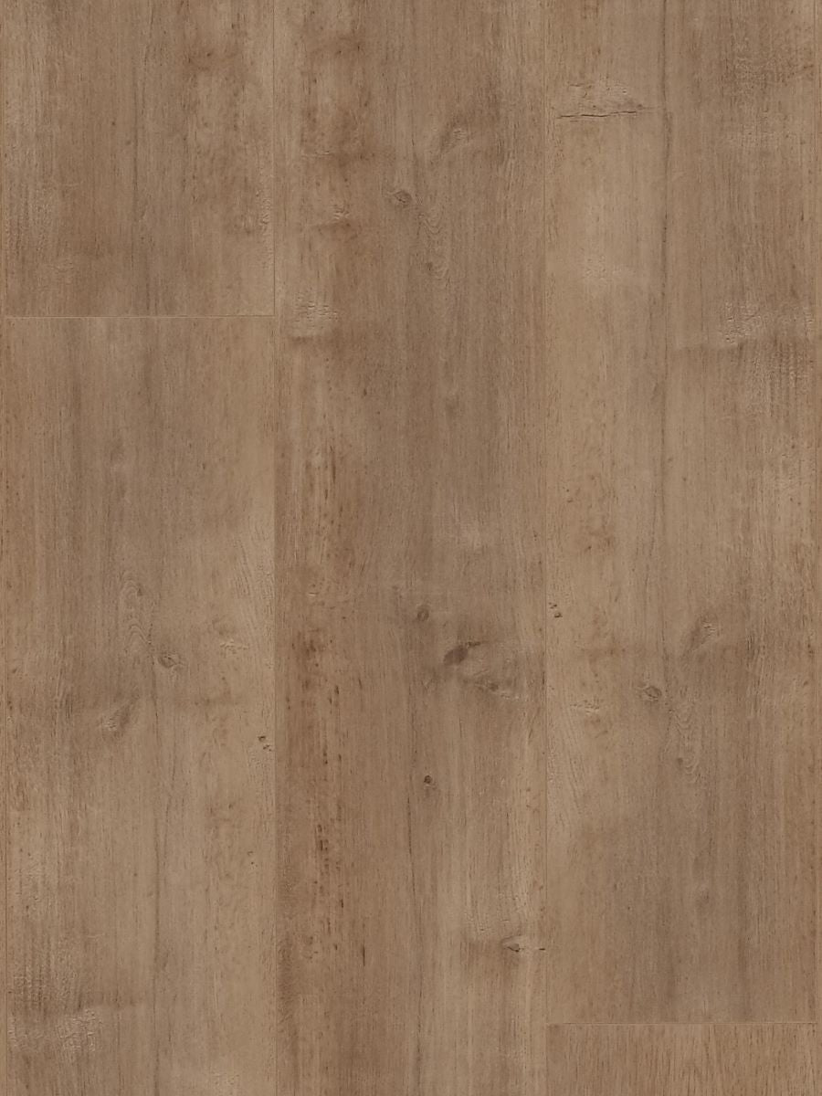 Coastal Ivory