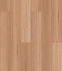 Tasmanian Oak