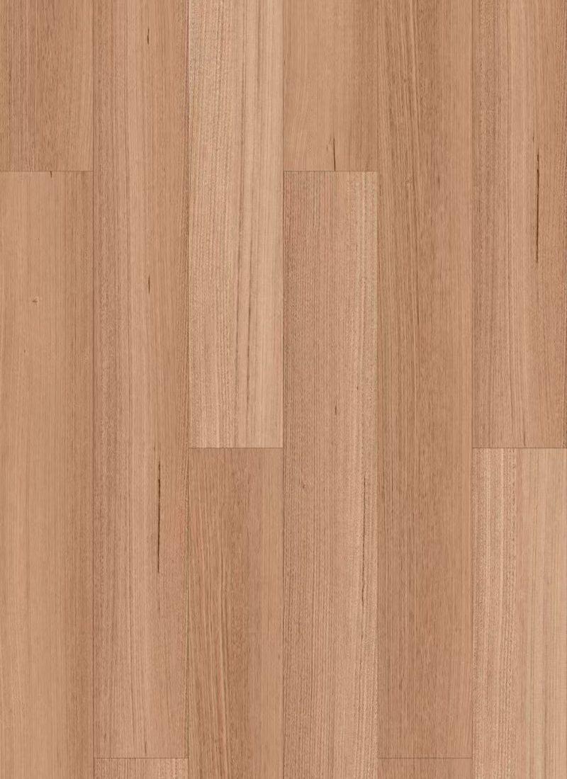 Tasmanian Oak