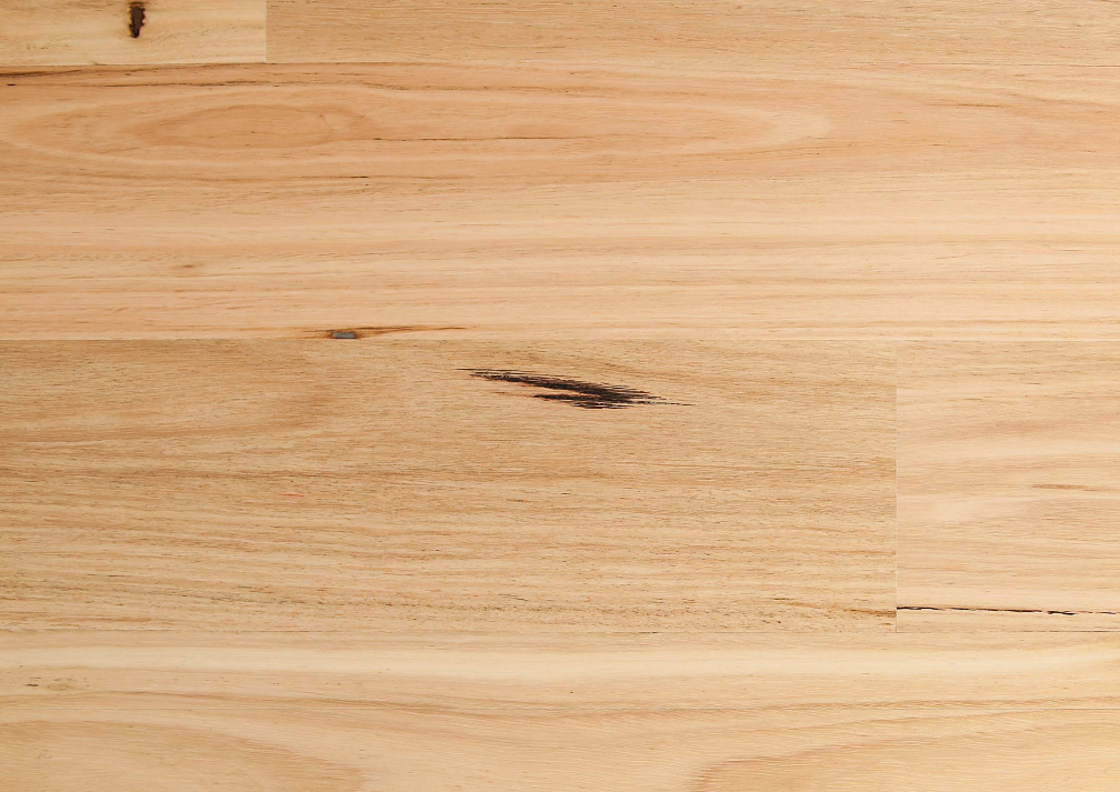 Blackbutt Matte Brushed