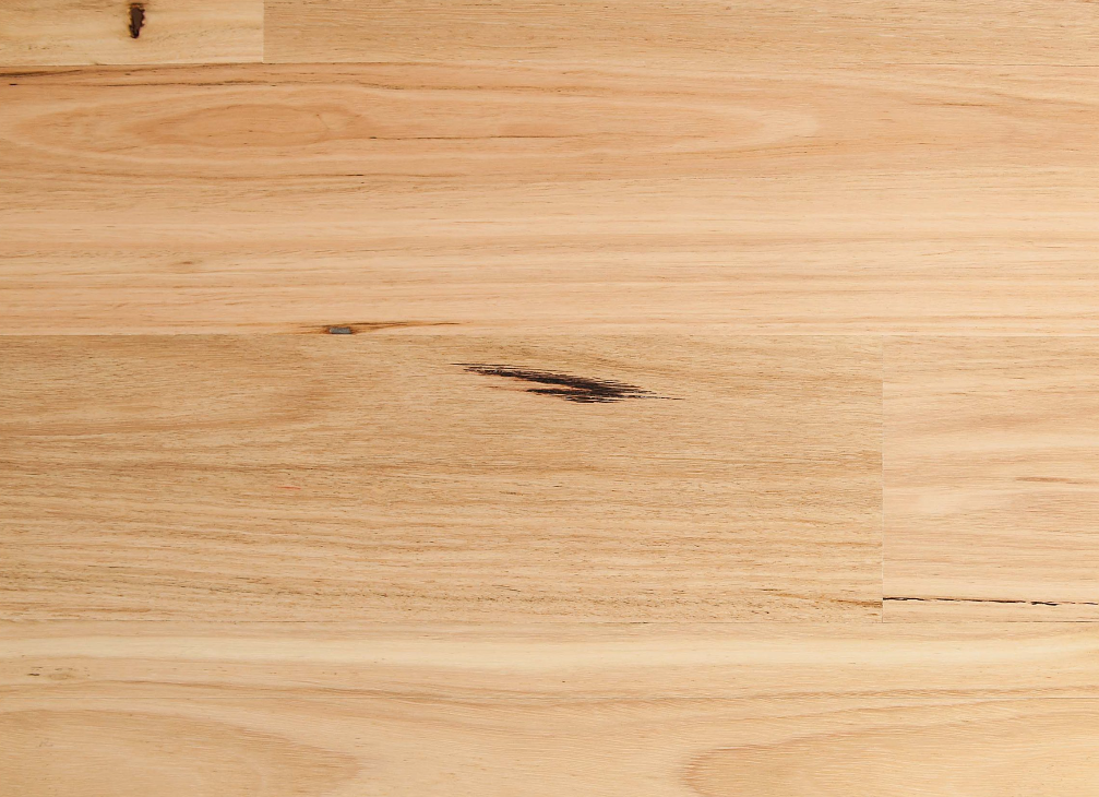 Blackbutt Smooth